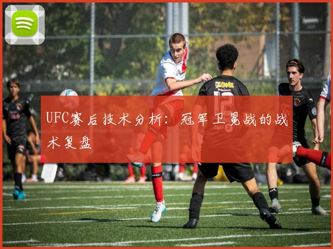 UFC赛后技术分析：冠军卫冕战的战术复盘