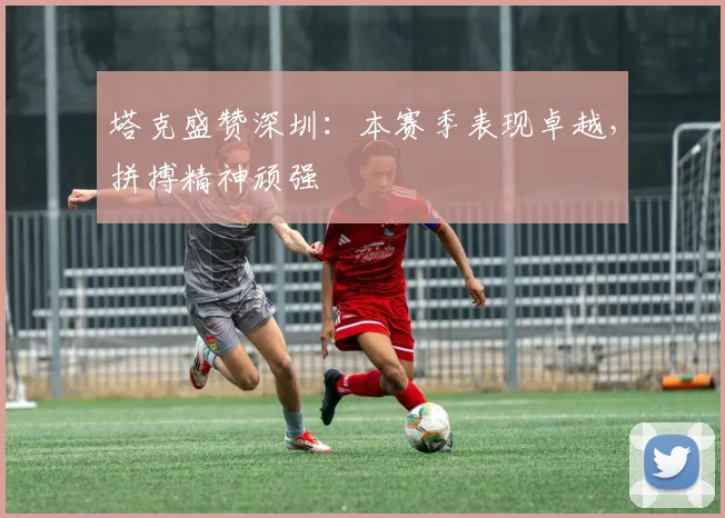 塔克盛赞深圳:本赛季表现卓越,拼搏精神顽强