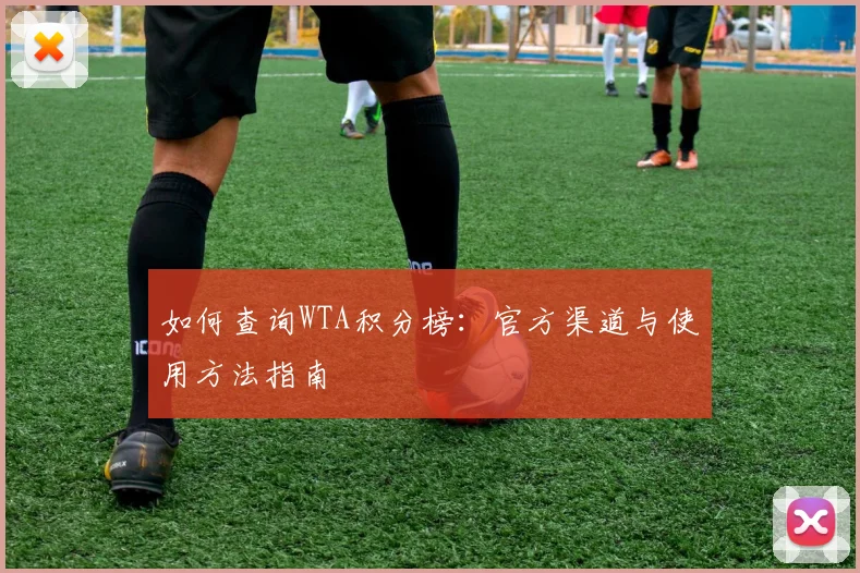 如何查询WTA积分榜:官方渠道与使用方法指南