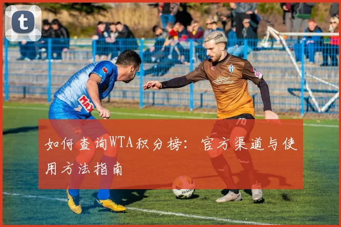如何查询WTA积分榜：官方渠道与使用方法指南