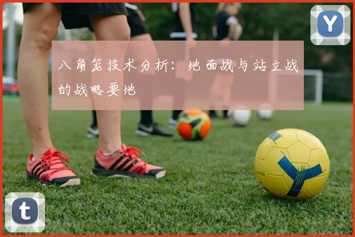 八角笼技术分析：地面战与站立战的战略要地