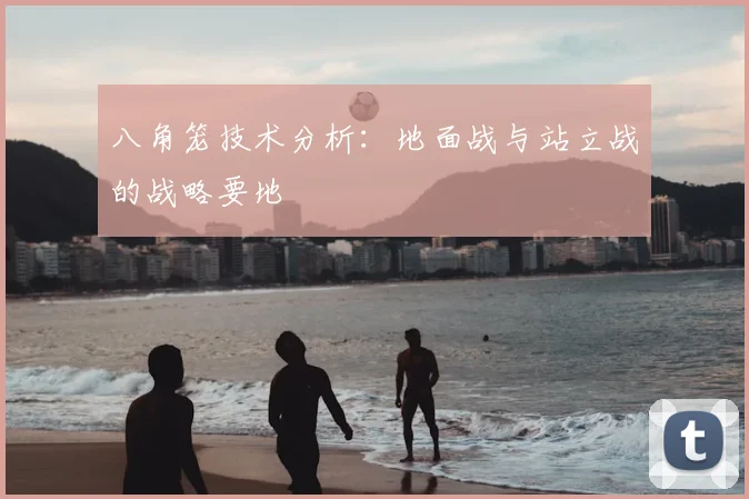八角笼技术分析：地面战与站立战的战略要地