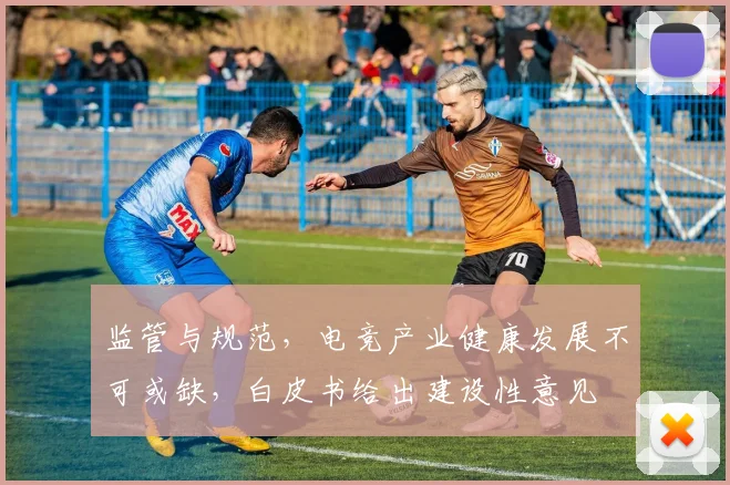 监管与规范,电竞产业健康发展不可或缺,白皮书给出建设性意见